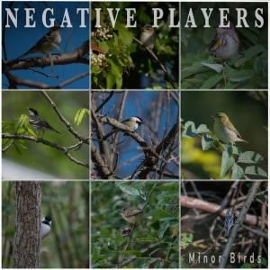 Album cover for 'Minor Birds' by Negative Players